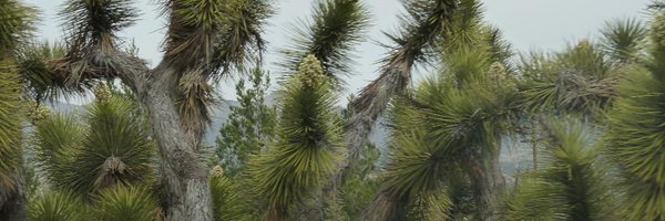 BullyingIsOut Profile Banner