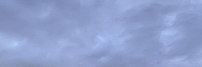 falcjenny's profile banner image