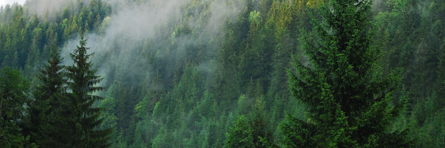 NotHailingHYDRA's profile banner image