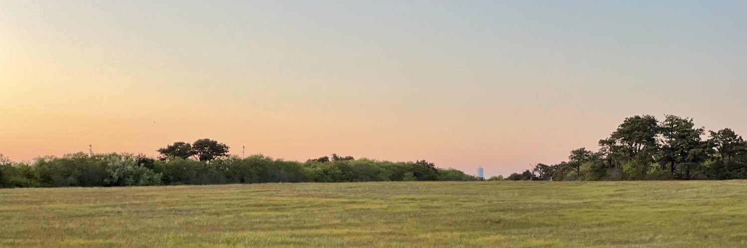 julia_turtle's profile banner image