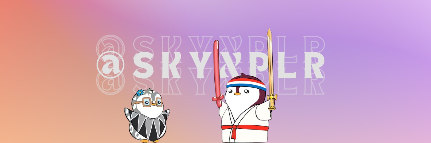 skyxplr's profile banner image
