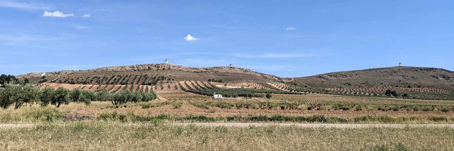 Ana Maria Barral banner