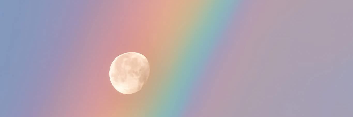 StaceyEvered's profile banner image