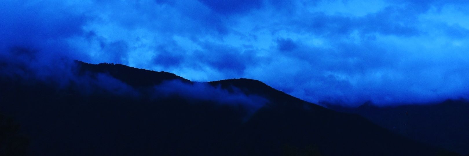 nellysgreen's profile banner image