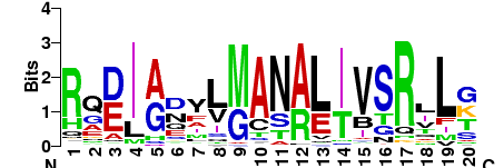 ManaliTilak's profile banner image
