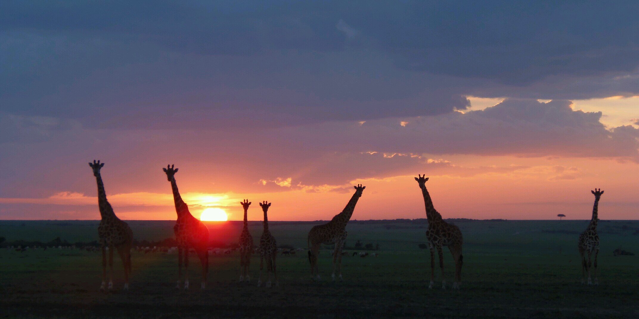 mmmmara_'s profile banner image