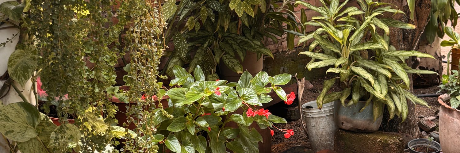 ebMariaa's profile banner image