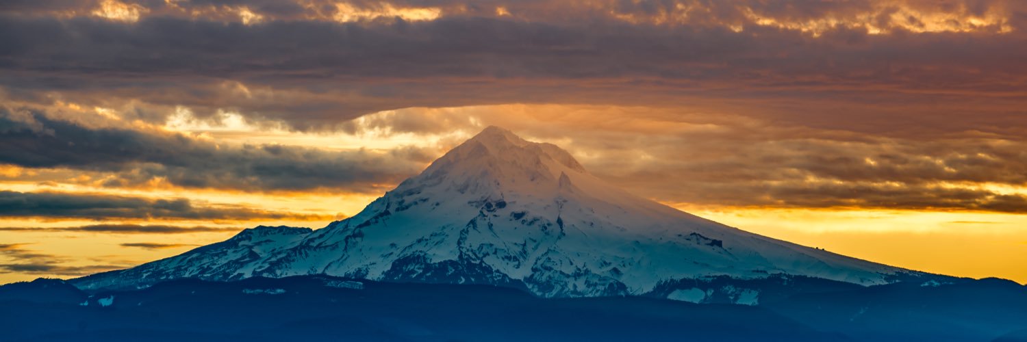Stephen Joncus banner