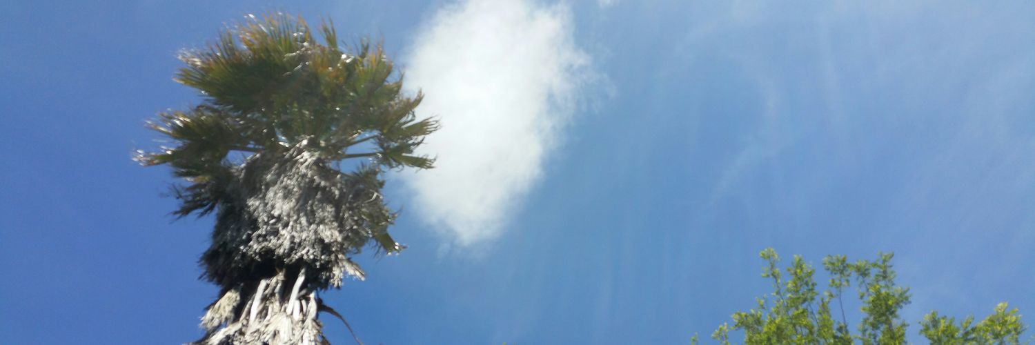 driesruger's profile banner image