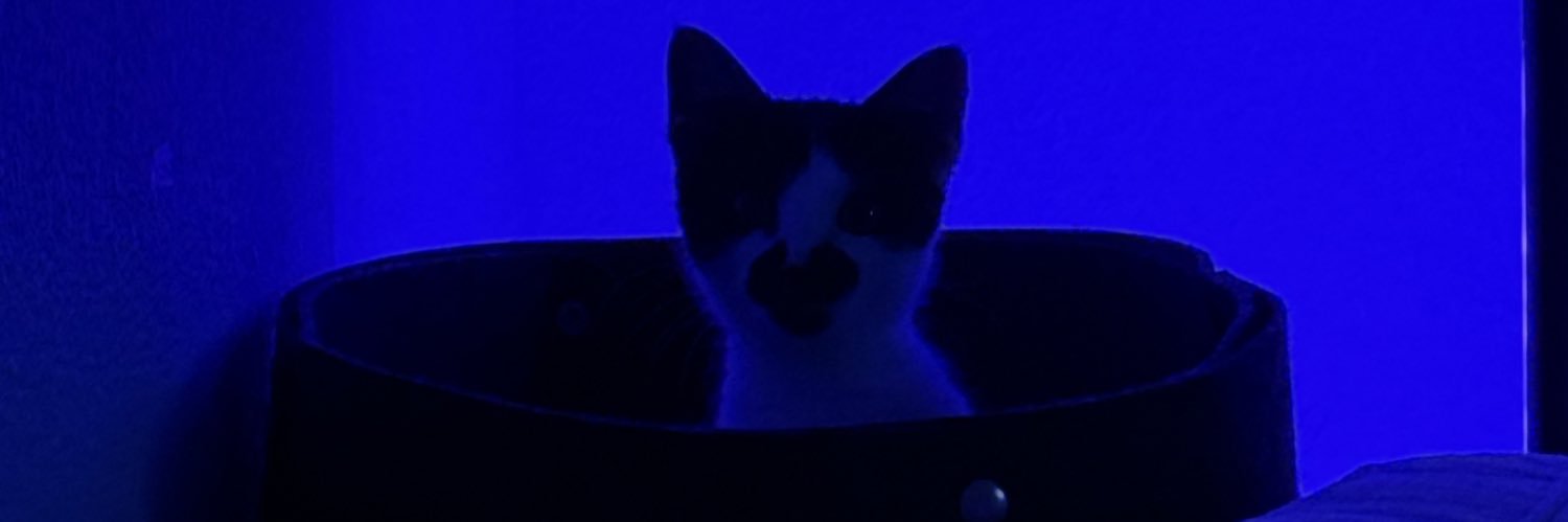 denicegarz's profile banner image