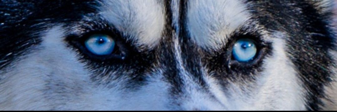 JMZIII's profile banner image