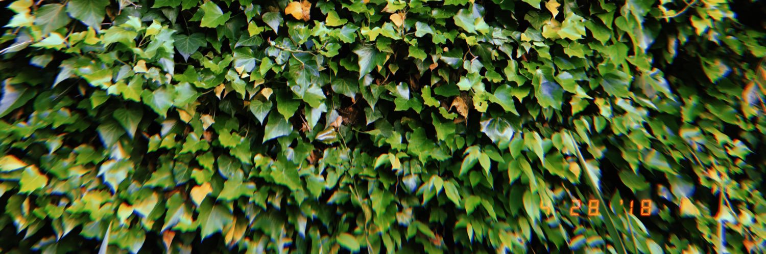 bbarnett48's profile banner image