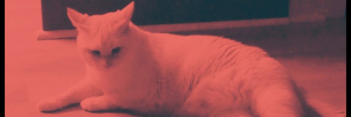 MikeMizzLe757's profile banner image