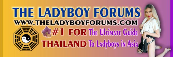 The Ladyboy Forums Profile Banner