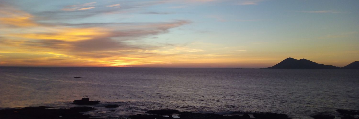 linoson's profile banner image