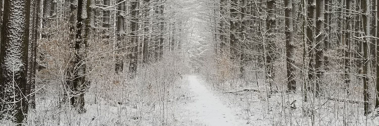 wolve727's profile banner image
