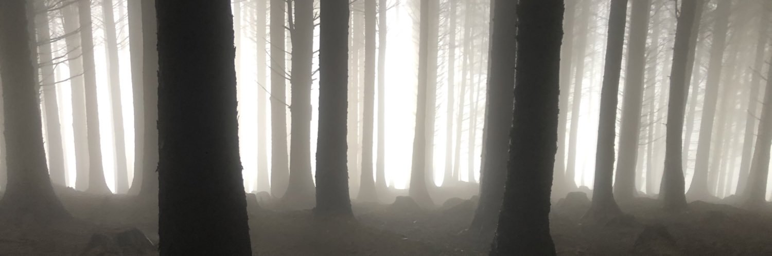 daraghomurchu's profile banner image