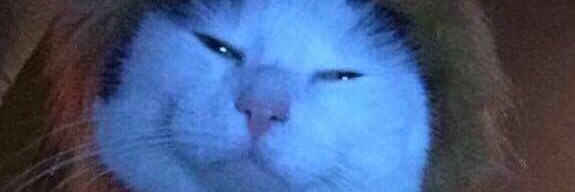 jimmy ireland banner