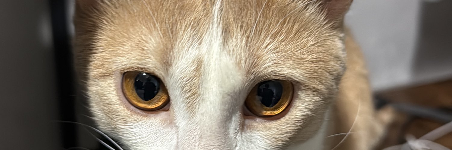XIXDuMort's profile banner image
