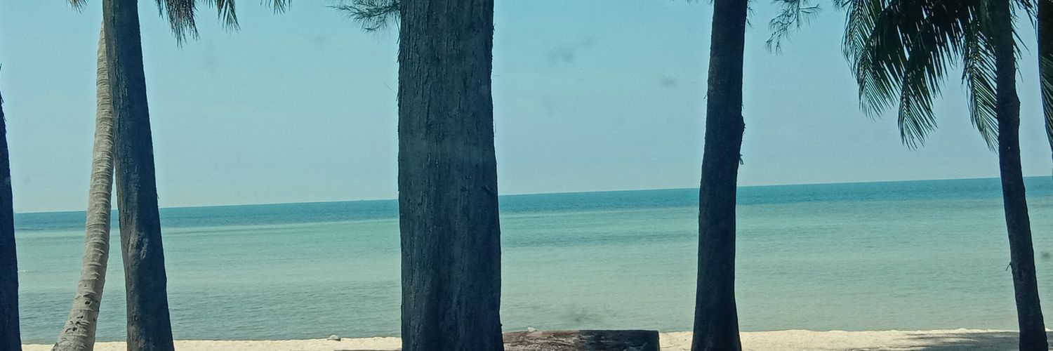 izz_saru's profile banner image