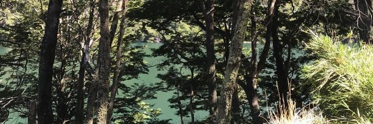 candeascierto's profile banner image