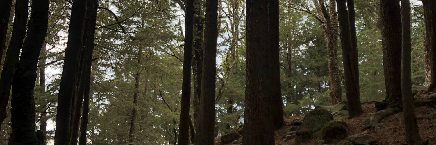 jorgegonzac's profile banner image