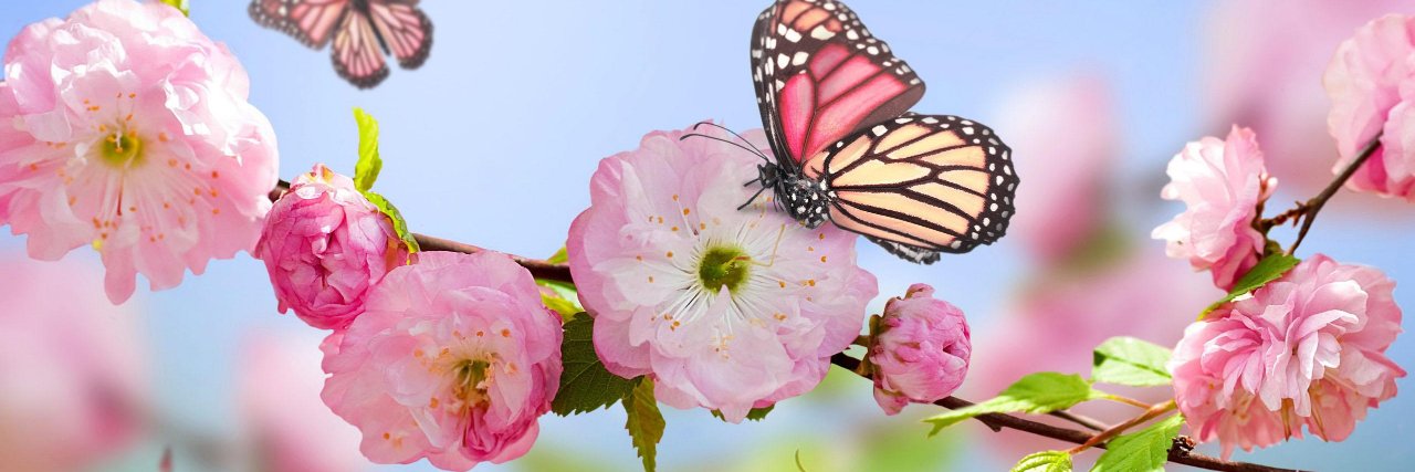 Roxy banner