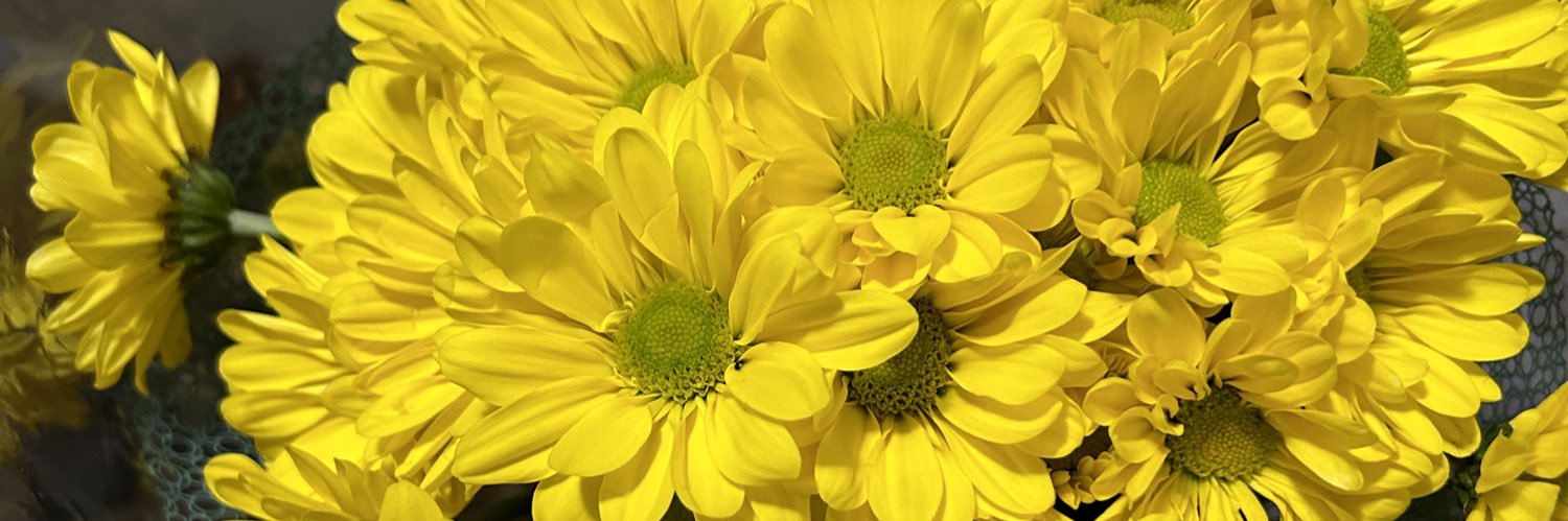 Beautifulheaux's profile banner image