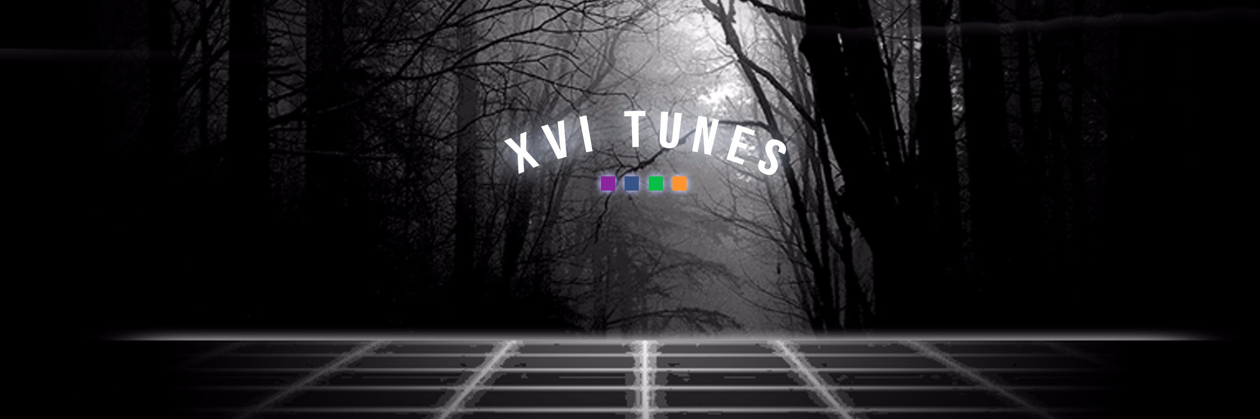 XVI banner