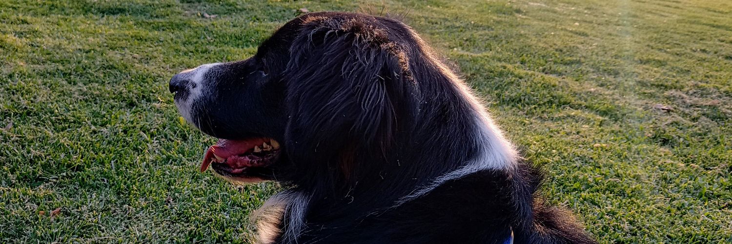 Laines0106's profile banner image