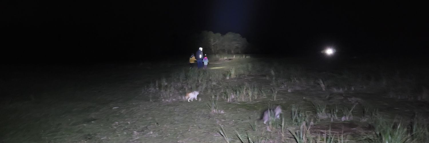 Andres Rocha 🐑 🇨🇱 banner