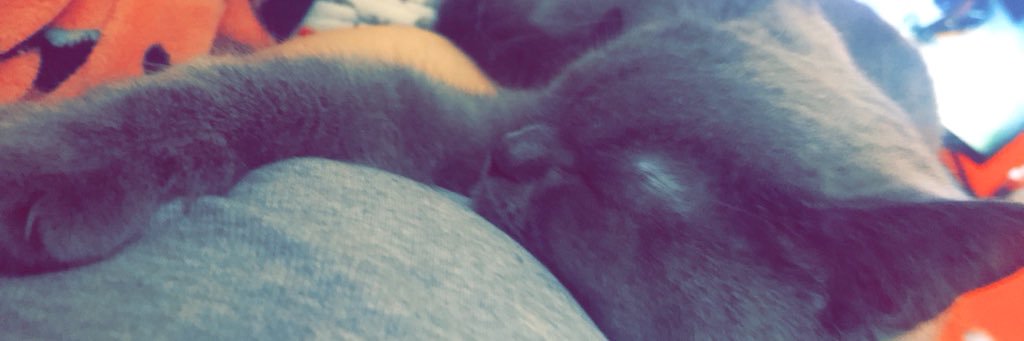 MissKerryB89's profile banner image