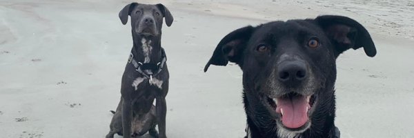 TaylorPurus27 Profile Banner