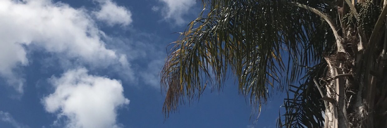 mudguel's profile banner image