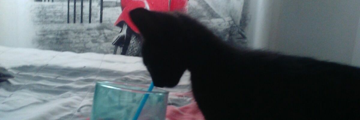 niclol1's profile banner image