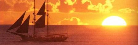 Poplar_Branch's profile banner image