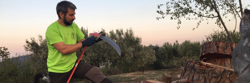 vpanyella's profile banner image