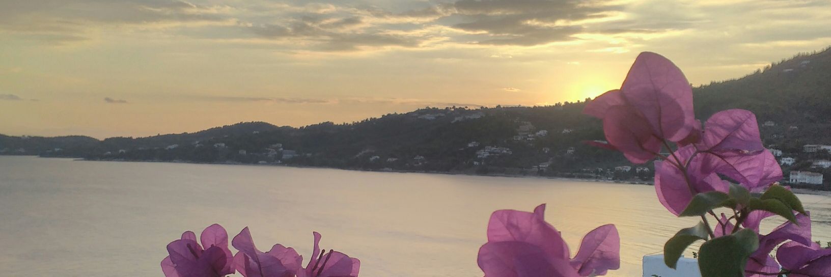 milenasunce's profile banner image