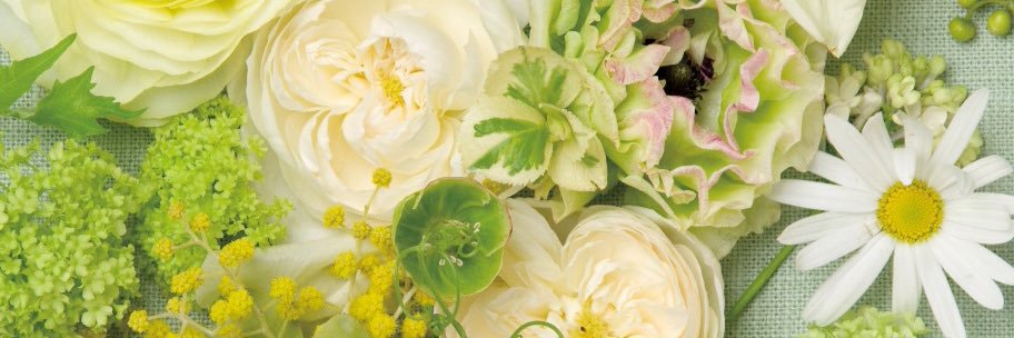 hemp_dayo's profile banner image