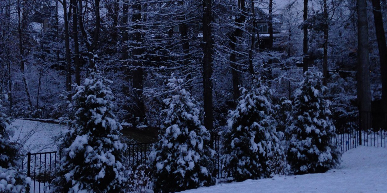 MsSterl's profile banner image
