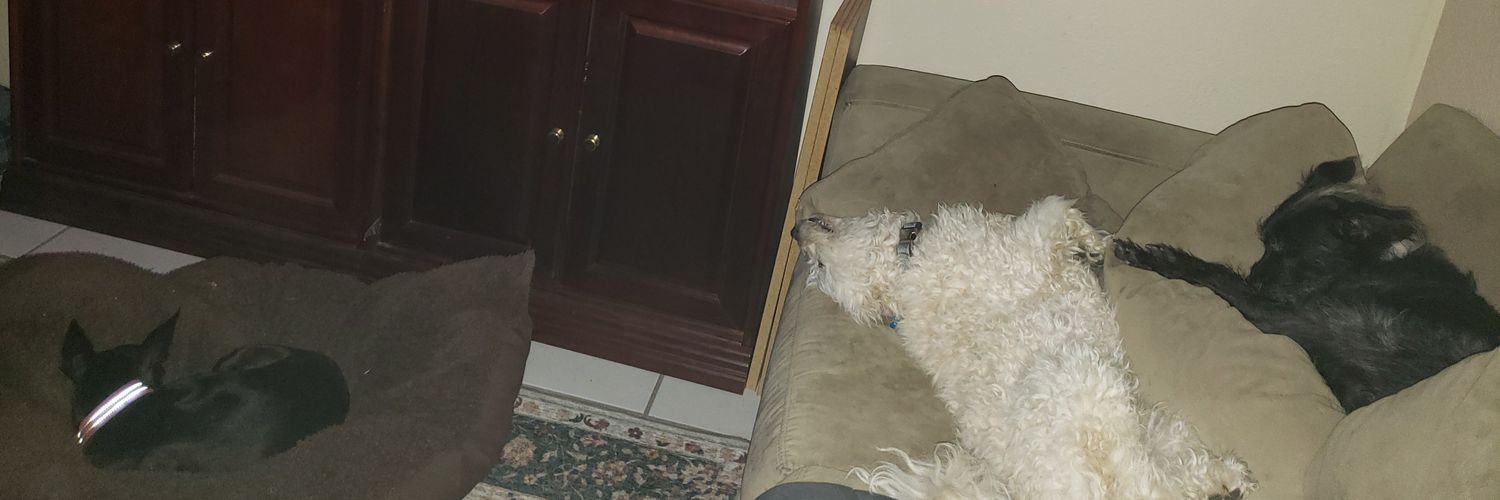 beltray's profile banner image
