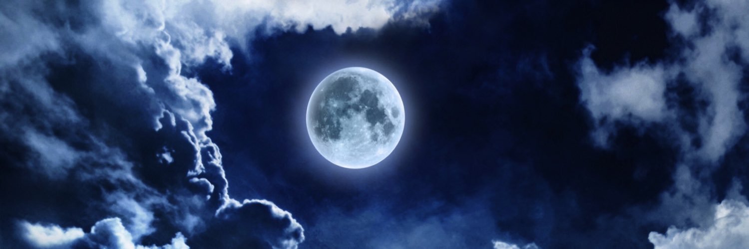 owl_mama's profile banner image