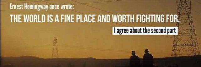 polerbearone's profile banner image