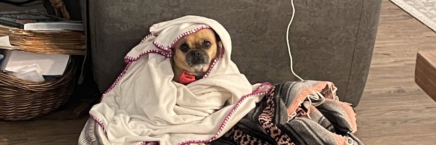 Sarinasaurusss's profile banner image
