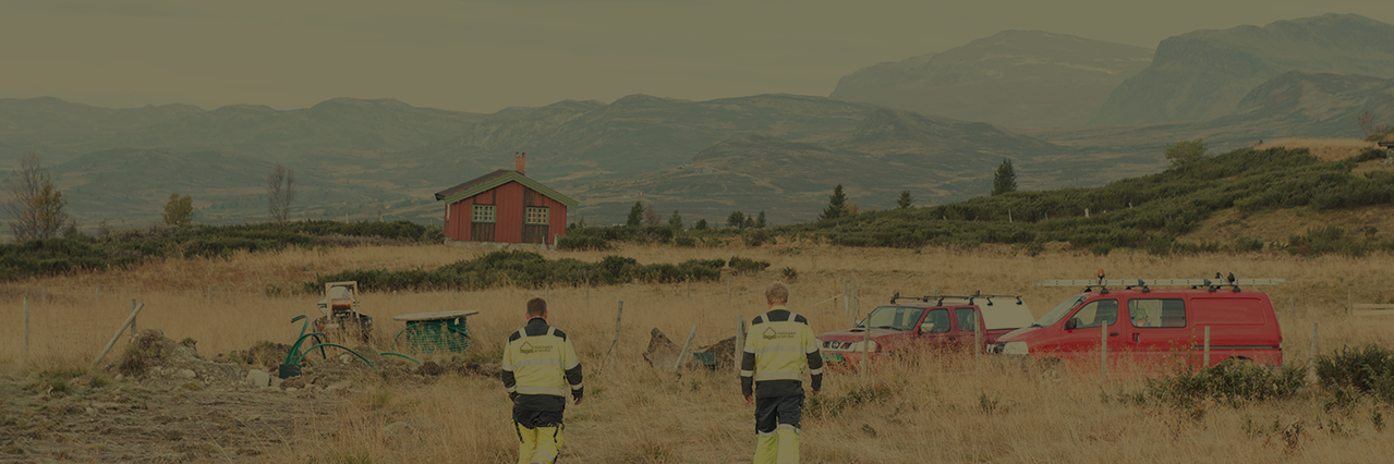 Hallingdal kraftnett banner