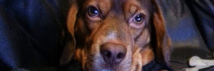 ChanceBodreaux's profile banner image