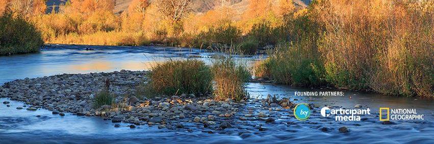 ChangeTheCourse banner