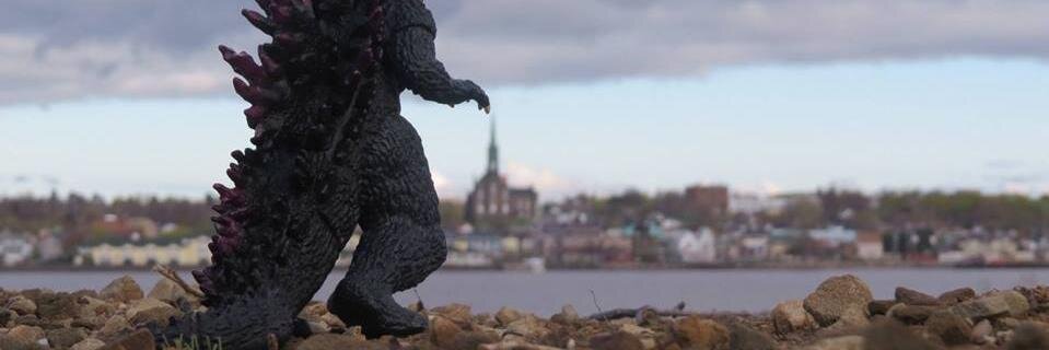 StormTimber's profile banner image