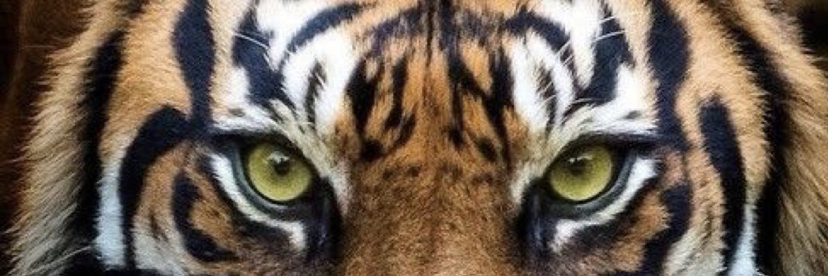 c_sweezzzzy's profile banner image