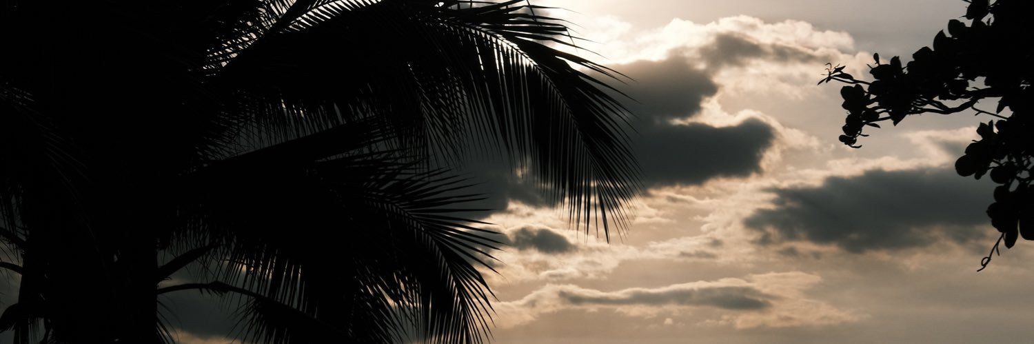 insparlight's profile banner image